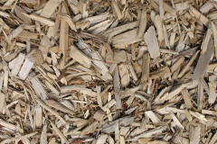 biomass boilers Saunderton